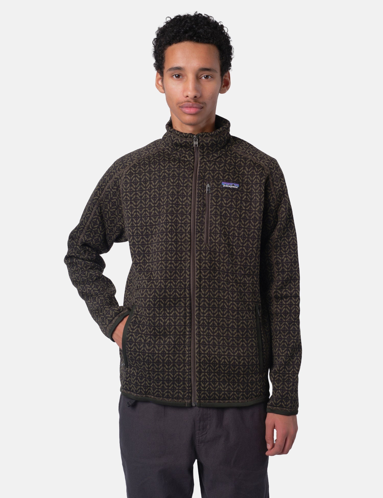 Patagonia Better Sweater Jacket - Scales: Old Growth Green